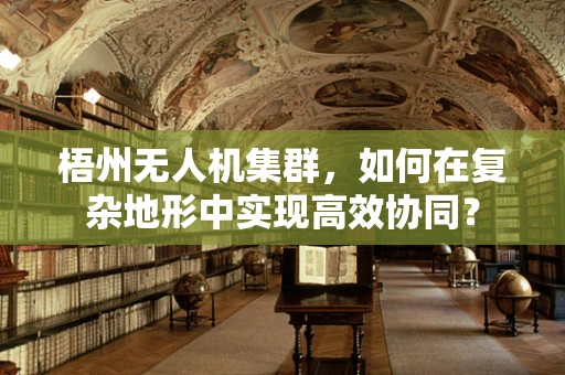梧州无人机集群，如何在复杂地形中实现高效协同？