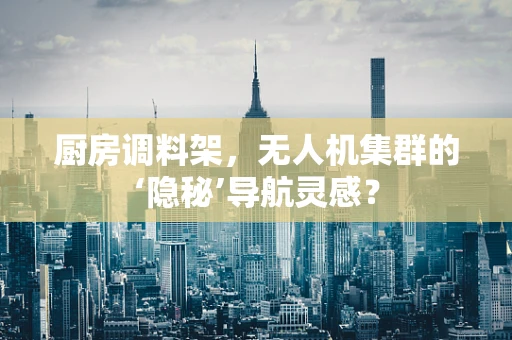 厨房调料架，无人机集群的‘隐秘’导航灵感？
