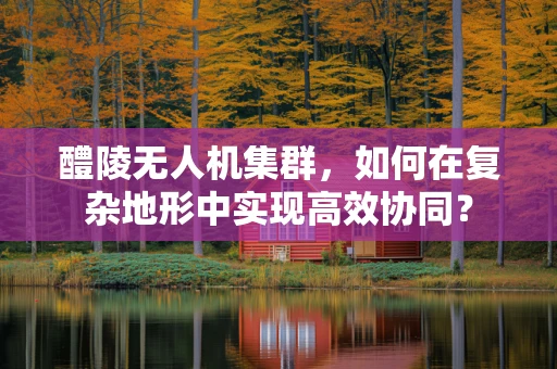 醴陵无人机集群，如何在复杂地形中实现高效协同？