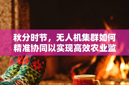 秋分时节，无人机集群如何精准协同以实现高效农业监测？