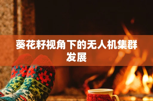 葵花籽视角下的无人机集群发展