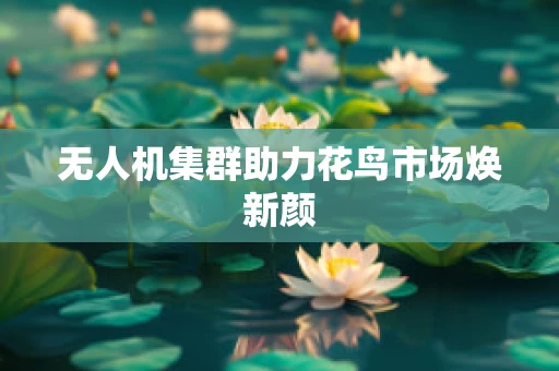 无人机集群助力花鸟市场焕新颜