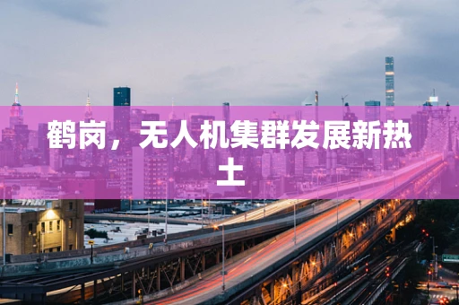 鹤岗，无人机集群发展新热土