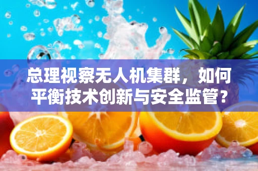 总理视察无人机集群，如何平衡技术创新与安全监管？