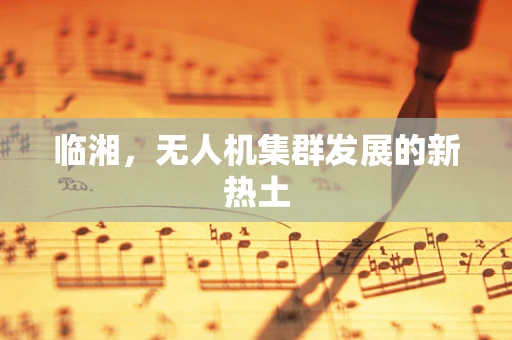 临湘，无人机集群发展的新热土