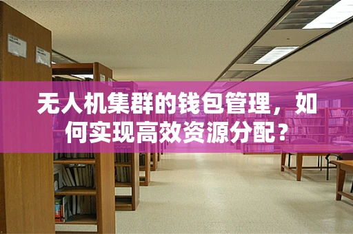 无人机集群的钱包管理，如何实现高效资源分配？