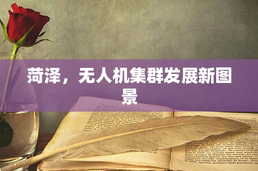 菏泽，无人机集群发展新图景